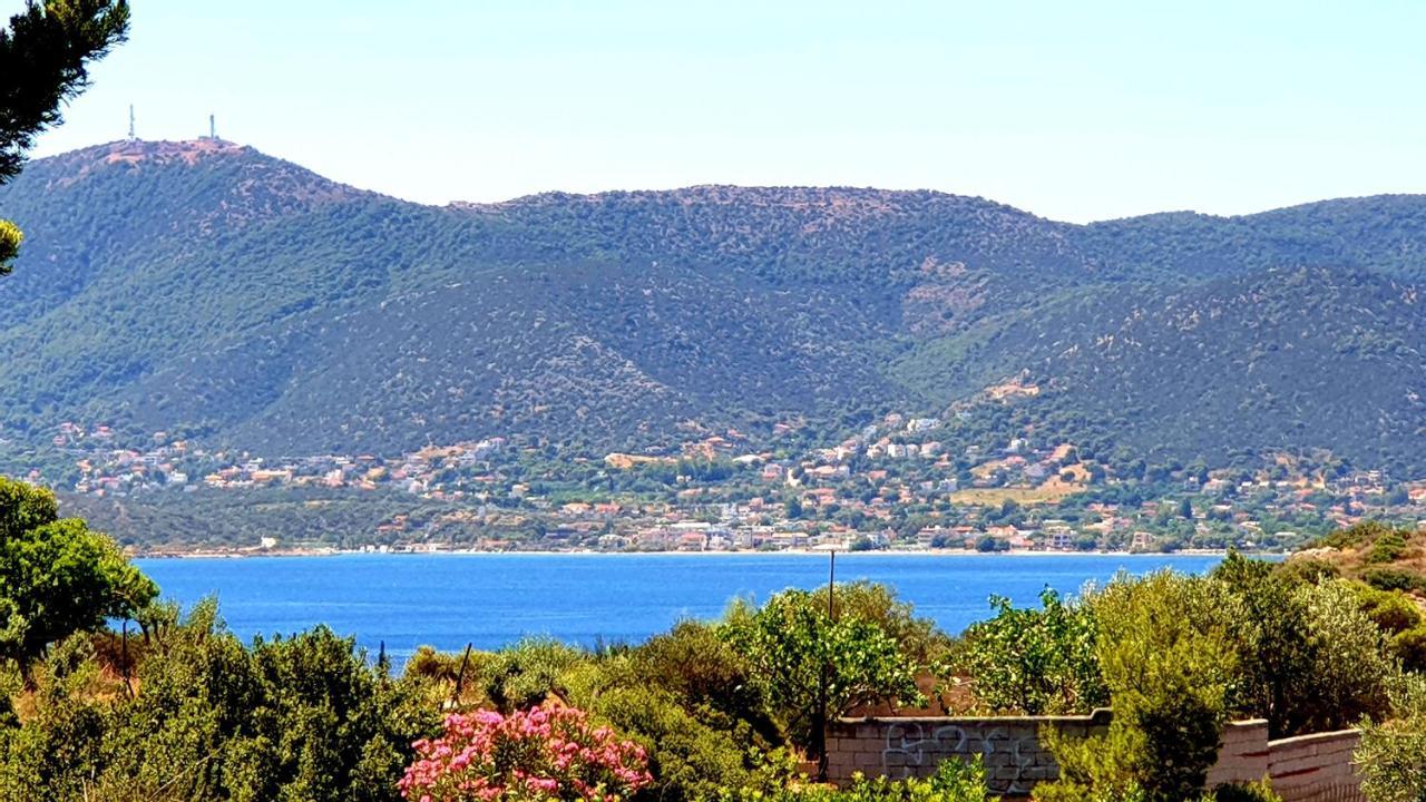 Deluxe Apartment Near The Airport Adults Only Porto Rafti Bagian luar foto